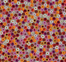 Ковролин Flotex Vision Image 000538 Multifloral фото 1 | FLOORDEALER